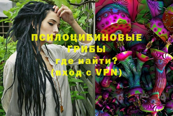 бошки Алексеевка